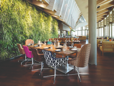 coast by east Family table with colorful chairs and a green wall